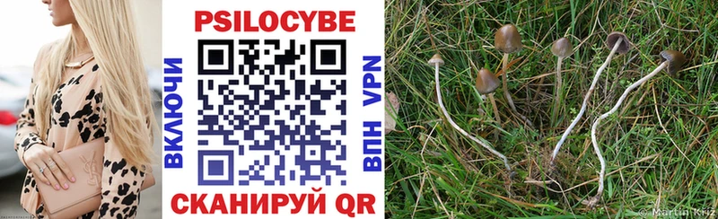 Галлюциногенные грибы Psilocybine cubensis  кракен как войти  Гороховец 